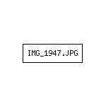 IMG_1947.JPG